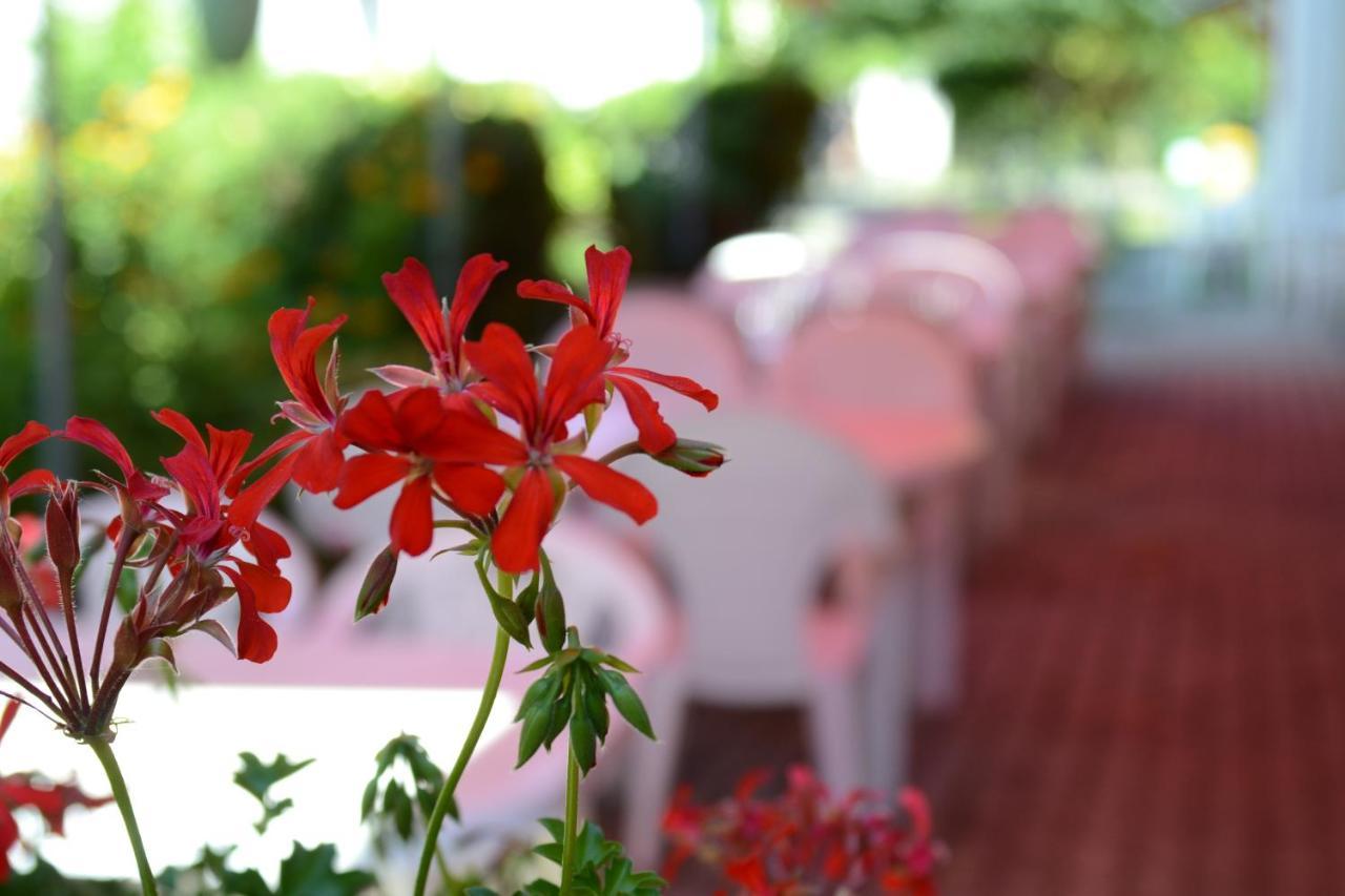 Zoeld Zona Zamardi Ueduelo Bed & Breakfast Exterior foto